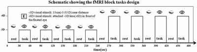 Functional Neuroanatomy of the Human Accommodation Response to an “E” Target Varying from -3 to -6 Diopters